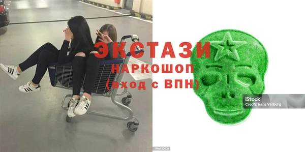 тгк Богородицк