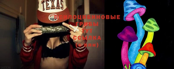 тгк Богородицк