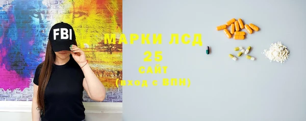 тгк Богородицк
