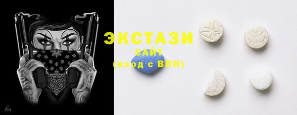 тгк Богородицк