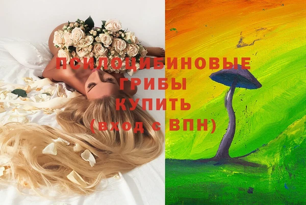 тгк Богородицк