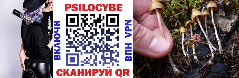 Галлюциногенные грибы Cubensis  купить наркоту  Юрюзань 